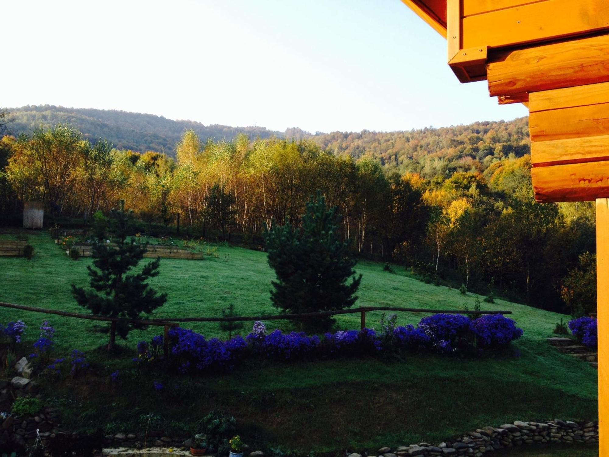 Sadyba Ertash Vyshka Habitación foto